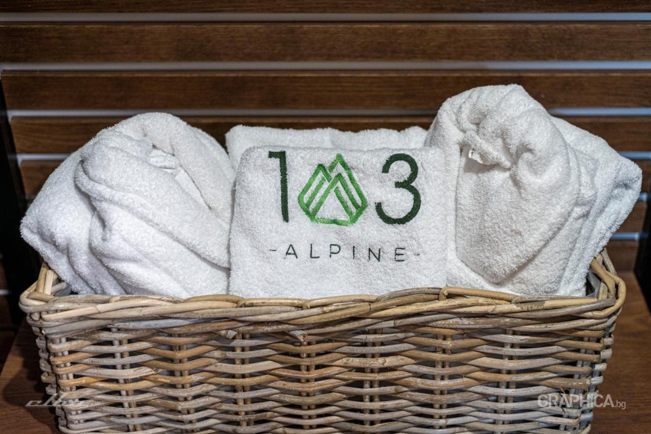 פניצ'ישטה 103 Alpine Hotel מראה חיצוני תמונה